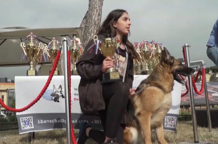 汪汪队立大功！黎巴嫩举行德国牧羊犬展示会
